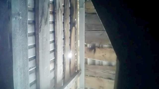 Amateur babe is peeing on the cam