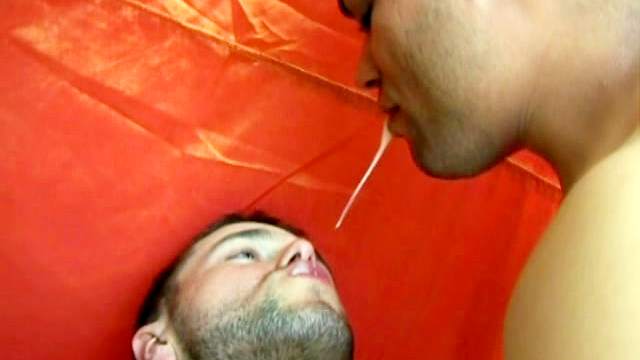 Sexy gay is giving a tasty blowjob