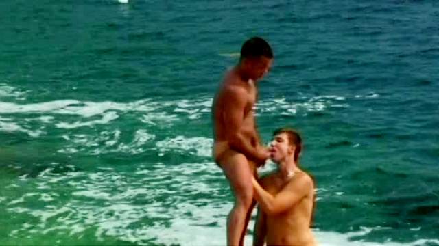 Hot gays are sucking dicks on the beach