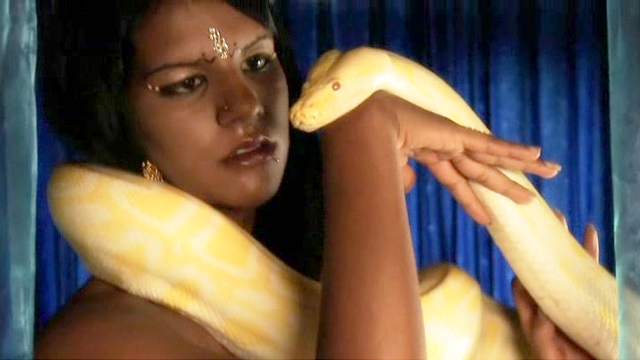 Sexy Indian slut is playing with real snake