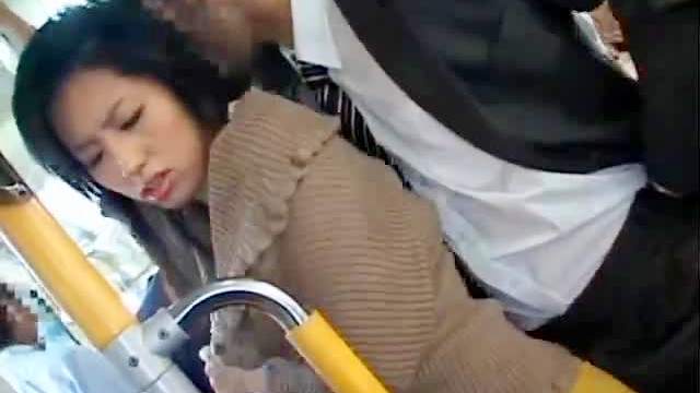 Japanese blowjob on a train