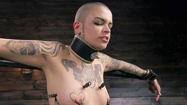 Curvy ass bald slut in merciless scenes of male domination