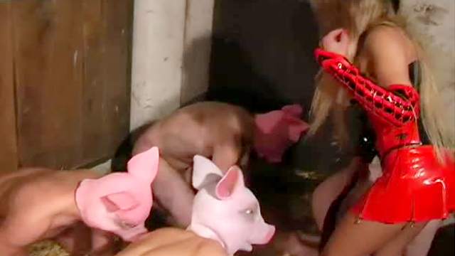 Pig and pony play on the kinky farm