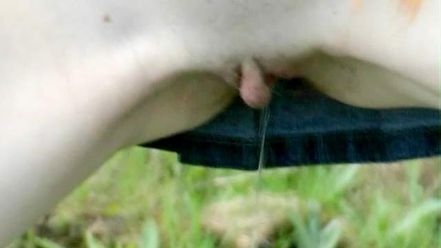 Shaved teen redhead pussy pissing outdoors