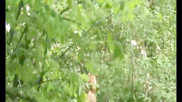 Lean bikini girl pissing in the woods