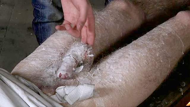 Jonny Parker pours Maxi Gerard's dick with wax